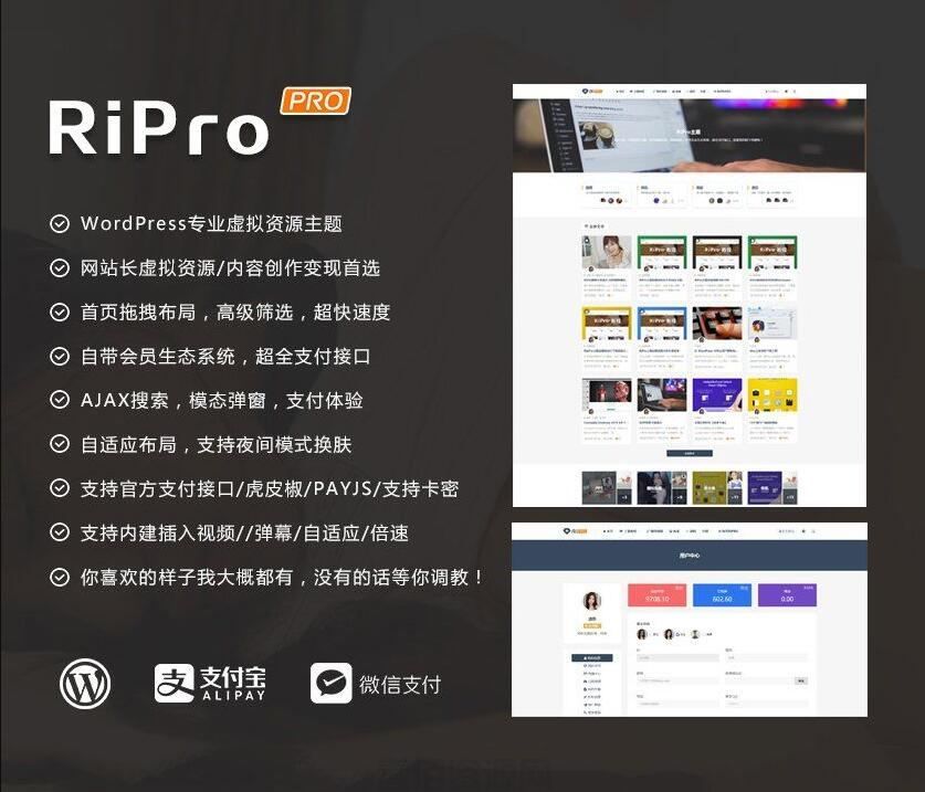 WordPress主题RiPro v8.6主题虚拟资源分享下载主题无限制版(图1)